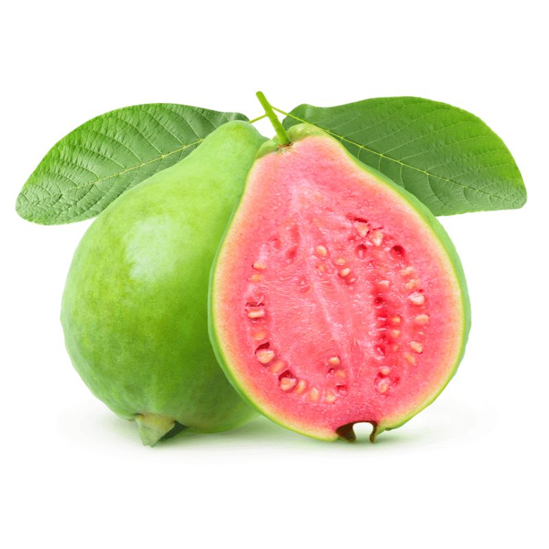Taiwan Guava